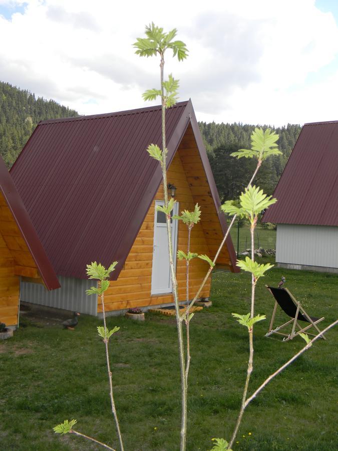Cottage Borje Žabljak Eksteriør billede